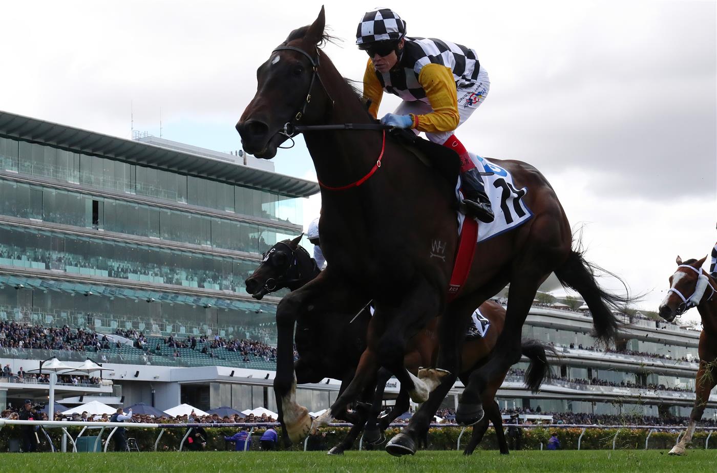 MELBOURNE, AUSTRALIA - OCTOBER 29: Craig Williams rides #11 Perfect Thought to win race one the Network 10 Carbine Club Stakes during 2022 Penfolds Victoria Derby Day at Flemington Racecourse on October 29, 2022 in Melbourne, Australia. (Photo by Robert Cianflone/Getty Images)
