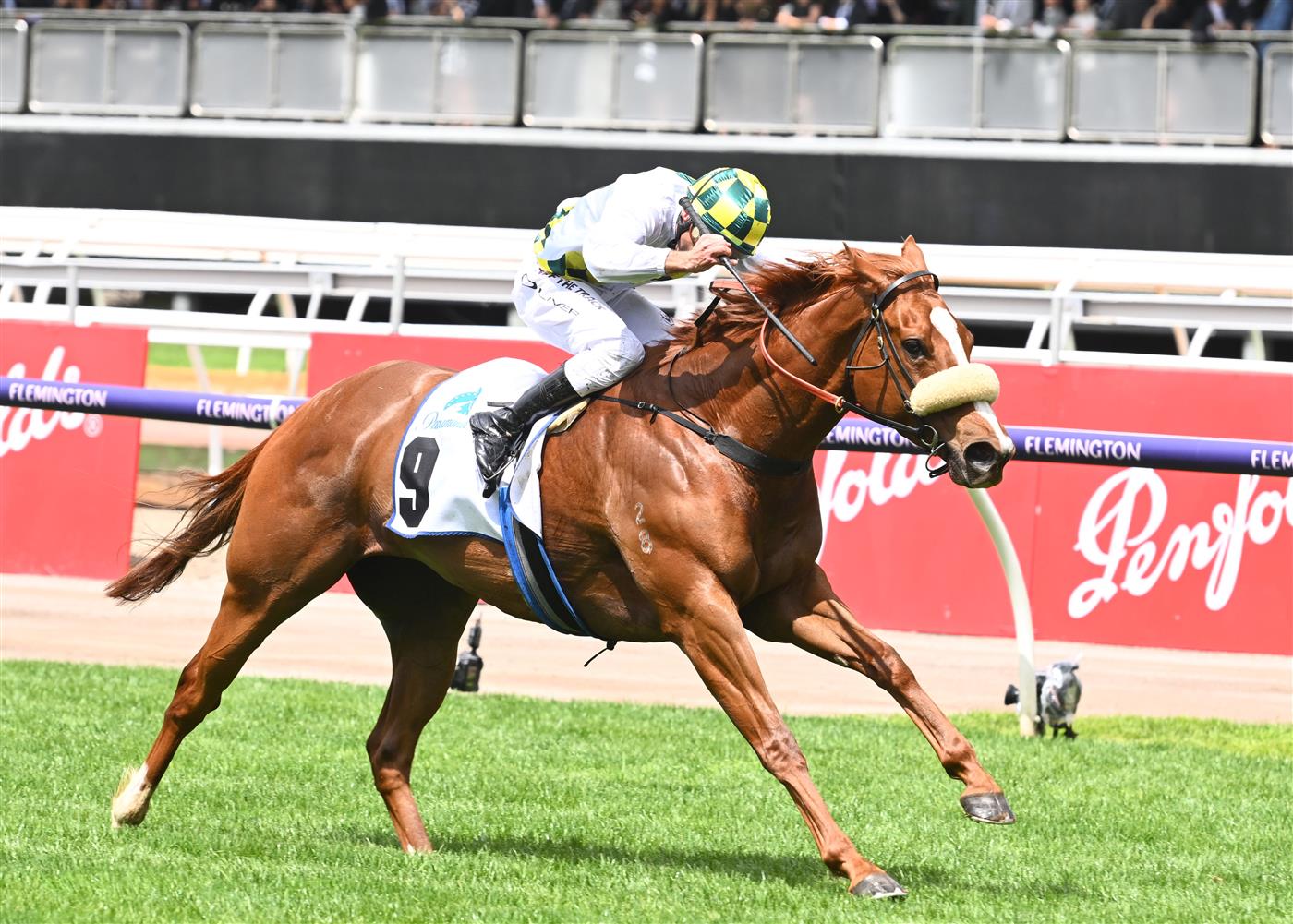 MELBOURNE, AUSTRALIA - OCTOBER 29: Damien Oliver riding Argentia winning Race 3, the Paramount+ Rising Fast Stakes, during 2022 Penfolds Victoria Derby Day at Flemington Racecourse on October 29, 2022 in Melbourne, Australia. (Photo by Vince Caligiuri/Getty Images)
