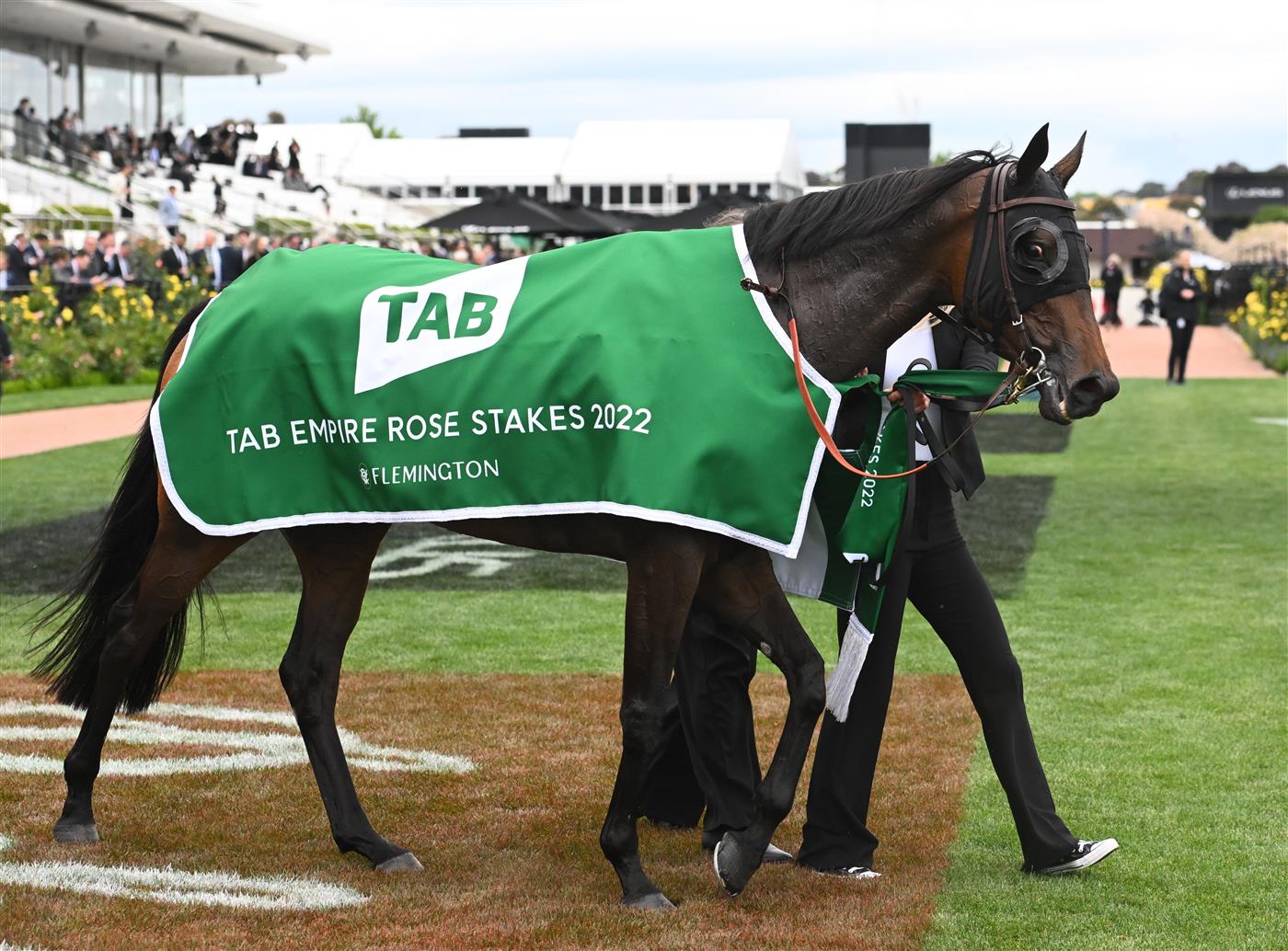 MELBOURNE, AUSTRALIA - OCTOBER 29: Craig Williams riding Icebath winning Race 8, the Tab Empire Rose Stakes, during 2022 Penfolds Victoria Derby Day at Flemington Racecourse on October 29, 2022 in Melbourne, Australia. (Photo by Vince Caligiuri/Getty Images)