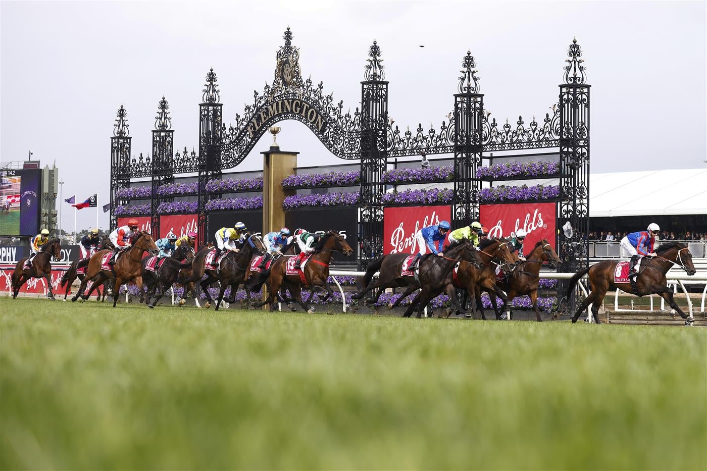 MELBOURNE, AUSTRALIA - OCTOBER 29: The field pass the finish line on the first straight of race seven the Penfolds Victoria Derby during 2022 Penfolds Victoria Derby Day at Flemington Racecourse on October 29, 2022 in Melbourne, Australia. (Photo by Daniel Pockett/Getty Images)