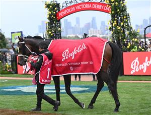 MELBOURNE, AUSTRALIA - OCTOBER 29: Manzoice after winning Race 7, the Penfolds Victoria Derby, during 2022 Penfolds Victoria Derby Day at Flemington Racecourse on October 29, 2022 in Melbourne, Australia. (Photo by Vince Caligiuri/Getty Images)