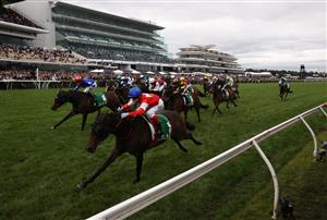 MELBOURNE, AUSTRALIA - OCTOBER 29: Craig WIlliams rides #1 Icebath to win race eight the TAB Empire Rose Stakes during 2022 Penfolds Victoria Derby Day at Flemington Racecourse on October 29, 2022 in Melbourne, Australia. (Photo by Robert Cianflone/Getty Images)