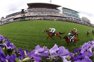 MELBOURNE, AUSTRALIA - OCTOBER 29: James McDonald riding #8 Surefire wins race two the Lexus Archer Stakes during 2022 Penfolds Victoria Derby Day at Flemington Racecourse on October 29, 2022 in Melbourne, Australia. (Photo by Robert Cianflone/Getty Images)