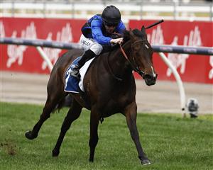 MELBOURNE, AUSTRALIA - OCTOBER 29: John Allen rides #2 Ashfoora to win race nine the Furphy Sprint during 2022 Penfolds Victoria Derby Day at Flemington Racecourse on October 29, 2022 in Melbourne, Australia. (Photo by Daniel Pockett/Getty Images)