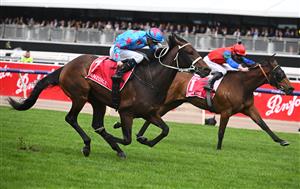 MELBOURNE, AUSTRALIA - OCTOBER 29: Michael Dee riding Manzoice winning Race 7, the Penfolds Victoria Derby, during 2022 Penfolds Victoria Derby Day at Flemington Racecourse on October 29, 2022 in Melbourne, Australia. (Photo by Vince Caligiuri/Getty Images)
