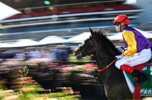 Bet on the Melbourne Cup with bet365 Specials & Latest Odds