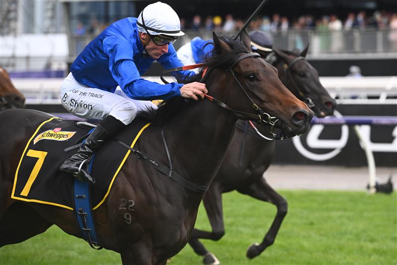 MELBOURNE, AUSTRALIA - NOVEMBER 01: Blake Shinn riding Renosu winning Race 5, the The Schweppervescence Plate, during 2022 Lexus Melbourne Cup Day at Flemington Racecourse on November 01, 2022 in Melbourne, Australia. (Photo by Vince Caligiuri/Getty Images)