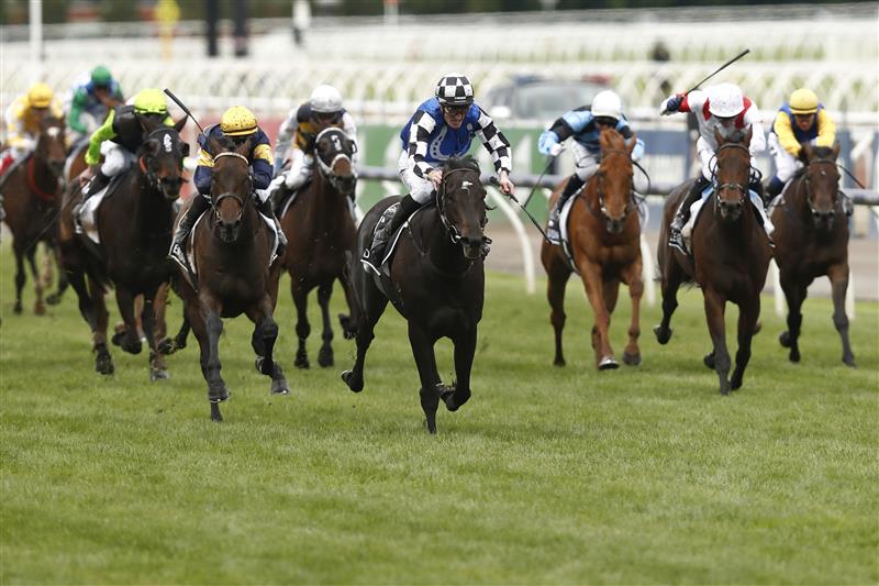 MELBOURNE, AUSTRALIA - NOVEMBER 01: Mark Zahra rides Gold Trip to win race 7 the Lexus Melbourne Cup during 2022 Melbourne Cup Day at Flemington Racecourse on November 01, 2022 in Melbourne, Australia. (Photo by Darrian Traynor/Getty Images)