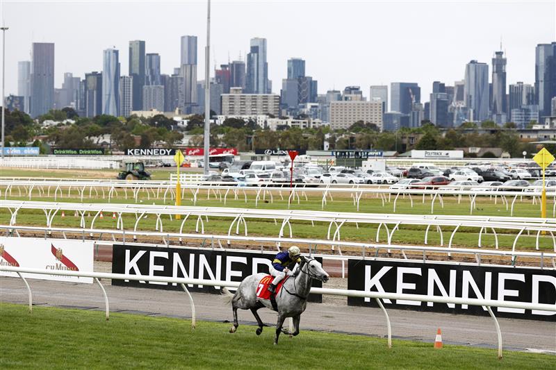 MELBOURNE, AUSTRALIA - NOVEMBER 01: Tim Clark rides White Marlin to win race 2 The Macca's Run during 2022 Lexus Melbourne Cup Day at Flemington Racecourse on November 01, 2022 in Melbourne, Australia. (Photo by Robert Cianflone/Getty Images)