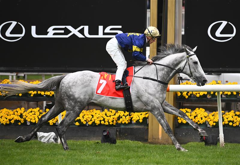 MELBOURNE, AUSTRALIA - NOVEMBER 01: Tim Clark rides White Marlin to win race 2 The Macca's Run during 2022 Lexus Melbourne Cup Day at Flemington Racecourse on November 01, 2022 in Melbourne, Australia. (Photo by Robert Cianflone/Getty Images)
