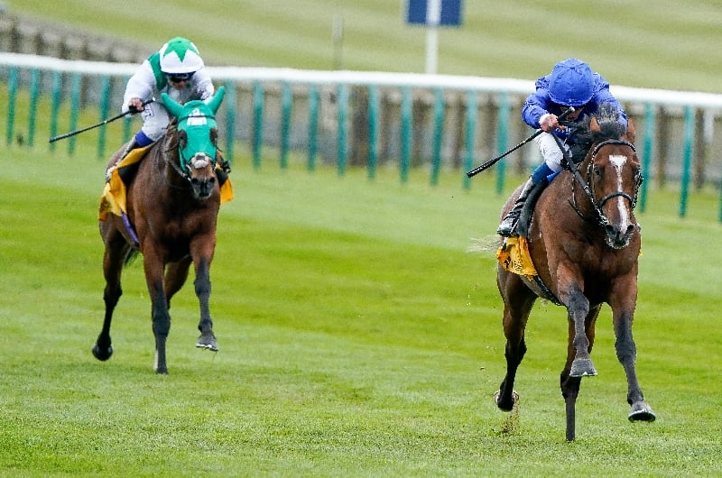 2022 Breeders' Cup Turf Odds - Nations Pride the favourite as European's dominate betting