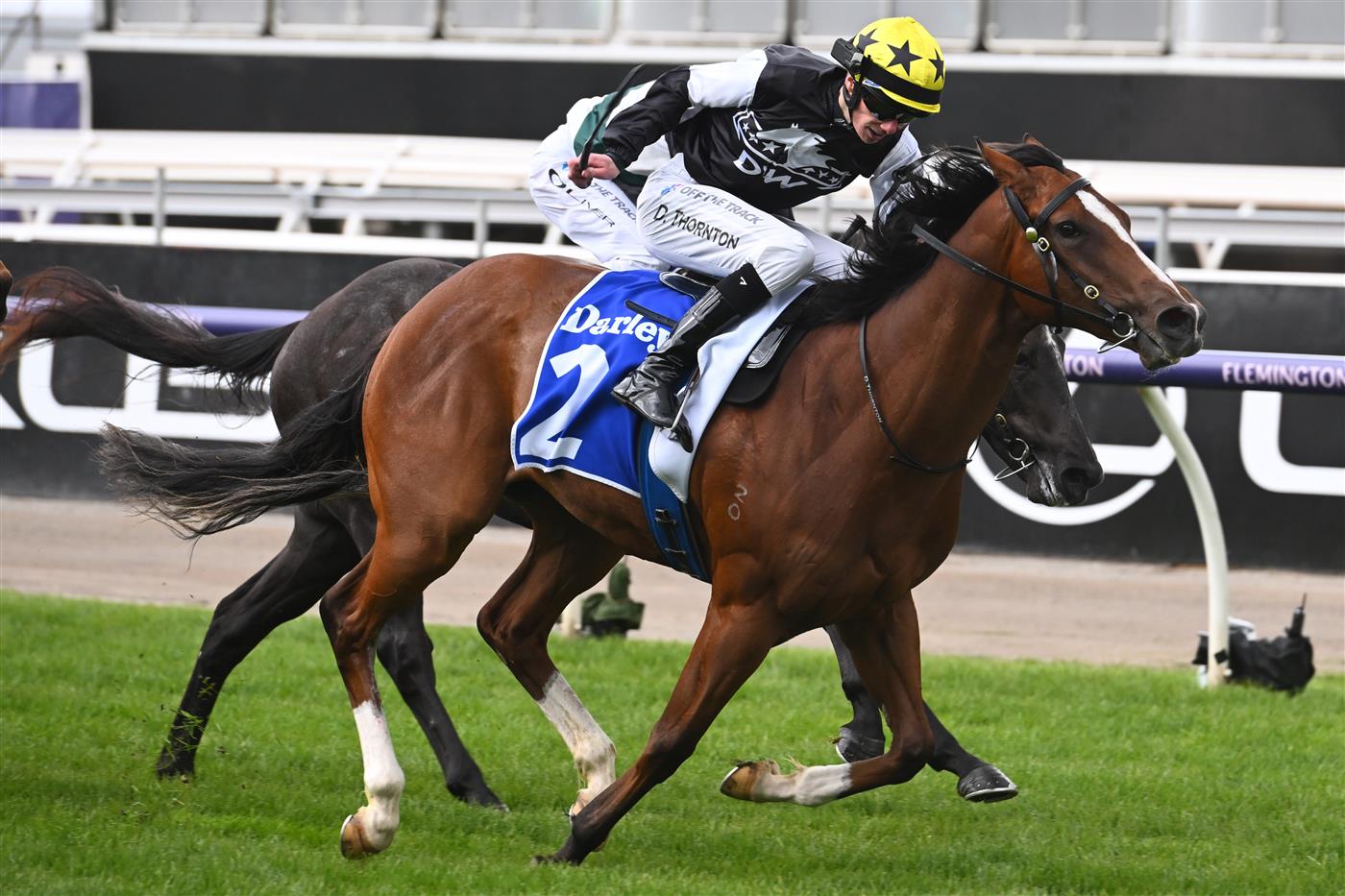 MELBOURNE, AUSTRALIA - NOVEMBER 01: Damien Thornton riding Krakarib winning Race 1, the Darley Maribyrnong Plate, during 2022 Lexus Melbourne Cup Day at Flemington Racecourse on November 01, 2022 in Melbourne, Australia. (Photo by Vince Caligiuri/Getty Images)
