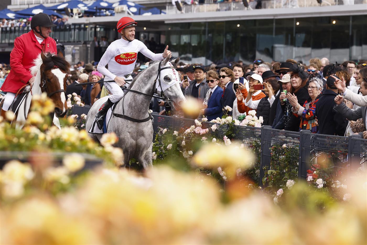 MELBOURNE, AUSTRALIA - NOVEMBER 01: Blake Shinn rides Love Tap #1 after winning race 3 the Resimax Group Subzero Handicap during 2022 Lexus Melbourne Cup Day at Flemington Racecourse on November 01, 2022 in Melbourne, Australia. (Photo by Daniel Pockett/Getty Images)