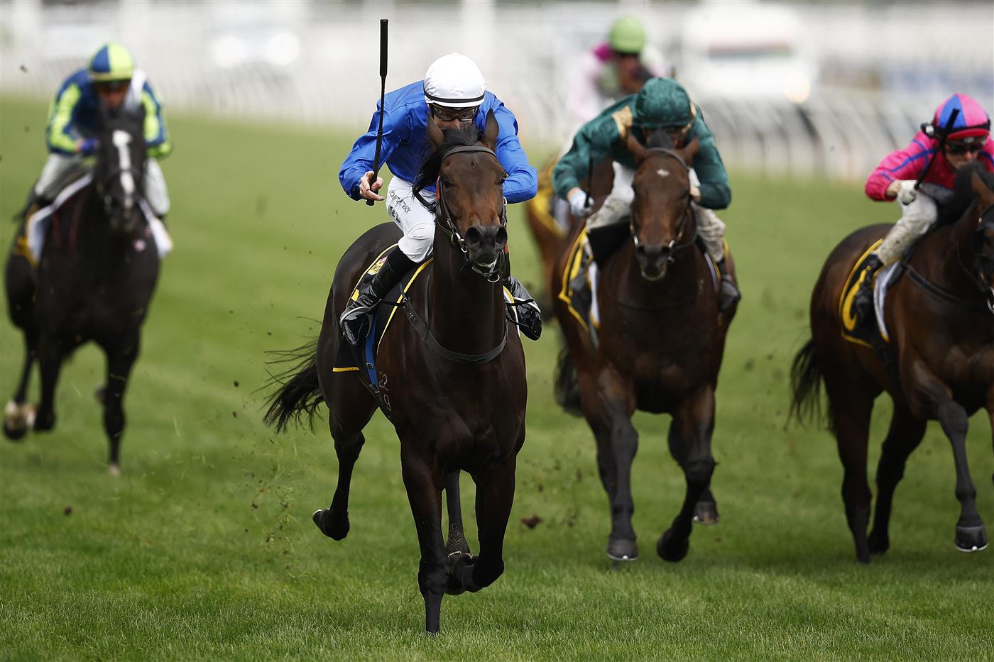MELBOURNE, AUSTRALIA - NOVEMBER 01: Blake Shinn riding Renosu (2L) to win Race 5, the The Schweppervescence Plate, during 2022 Lexus Melbourne Cup Day at Flemington Racecourse on November 01, 2022 in Melbourne, Australia. (Photo by Daniel Pockett/Getty Images)