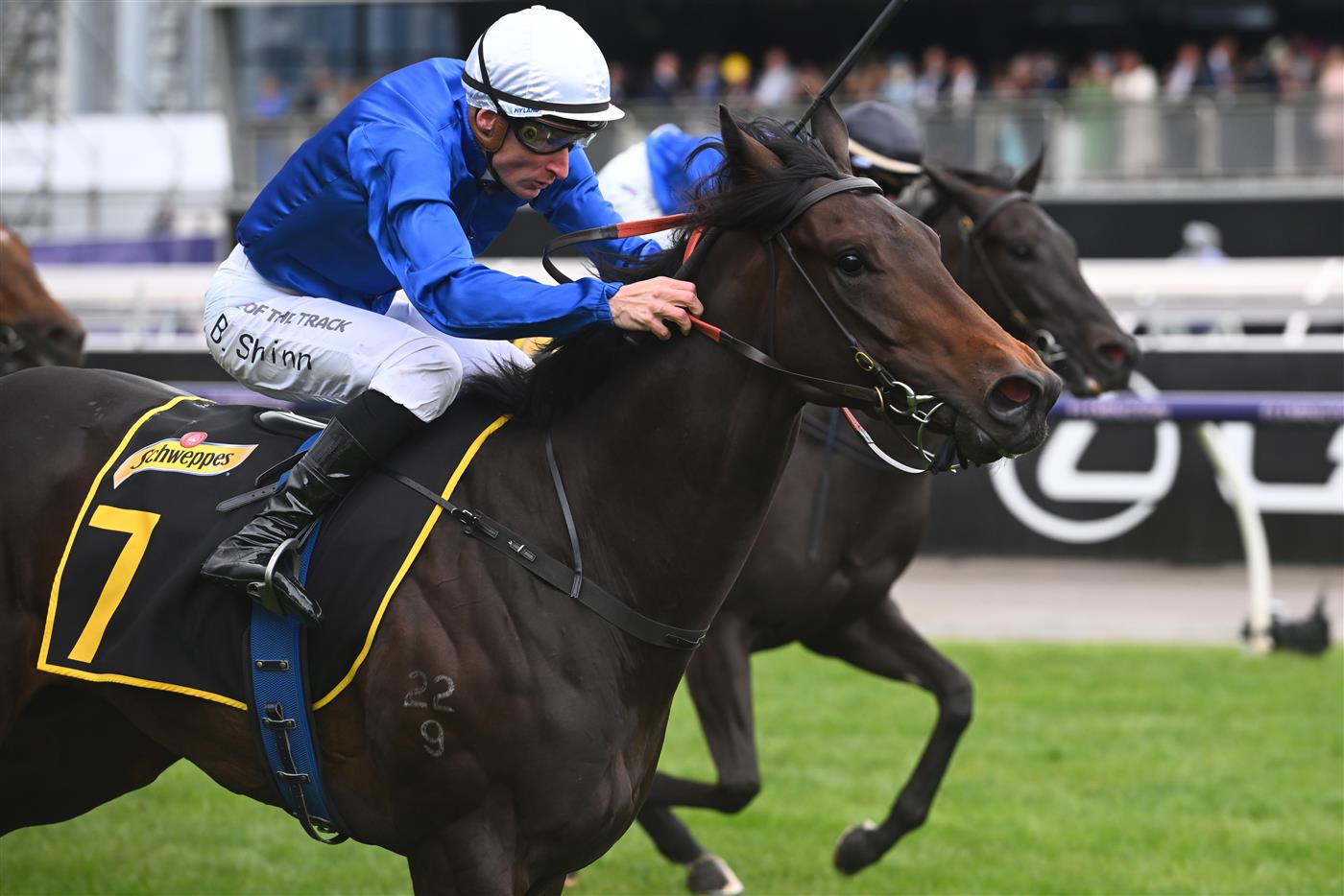 MELBOURNE, AUSTRALIA - NOVEMBER 01: Blake Shinn riding Renosu winning Race 5, the The Schweppervescence Plate, during 2022 Lexus Melbourne Cup Day at Flemington Racecourse on November 01, 2022 in Melbourne, Australia. (Photo by Vince Caligiuri/Getty Images)