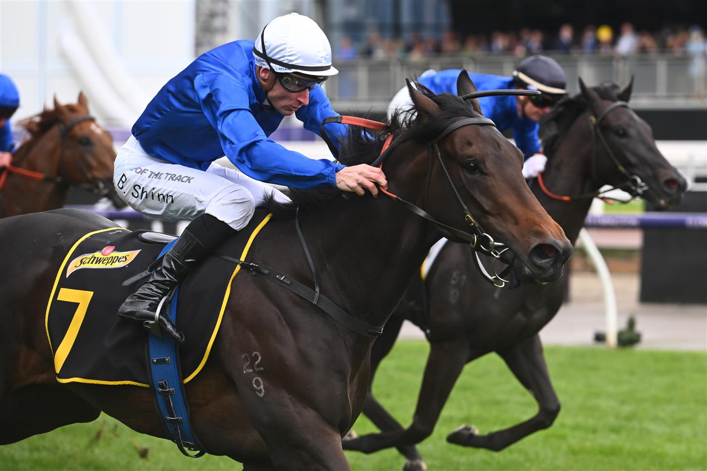 MELBOURNE, AUSTRALIA - NOVEMBER 01: Blake Shinn riding Renosu winning Race 5, the The Schweppervescence Plate, during 2022 Lexus Melbourne Cup Day at Flemington Racecourse on November 01, 2022 in Melbourne, Australia. (Photo by Vince Caligiuri/Getty Images)