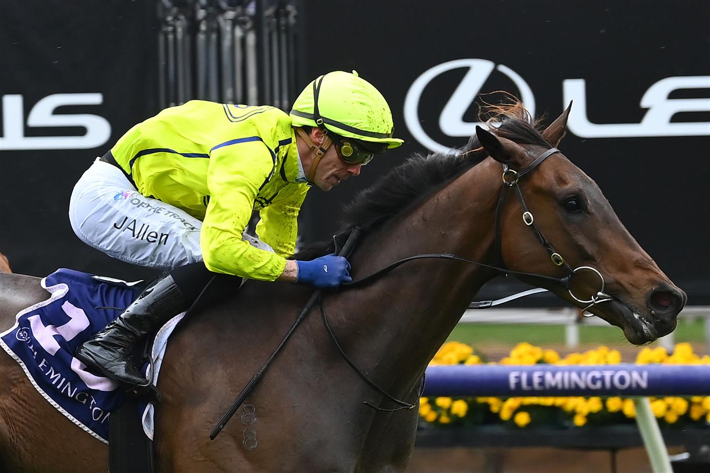 MELBOURNE, AUSTRALIA - NOVEMBER 01: John Allen riding Detonator Jack to win race eight the In Memory of Her Majesty Queen Elizabeth II during 2022 Lexus Melbourne Cup Day at Flemington Racecourse on November 01, 2022 in Melbourne, Australia. (Photo by Quinn Rooney/Getty Images)