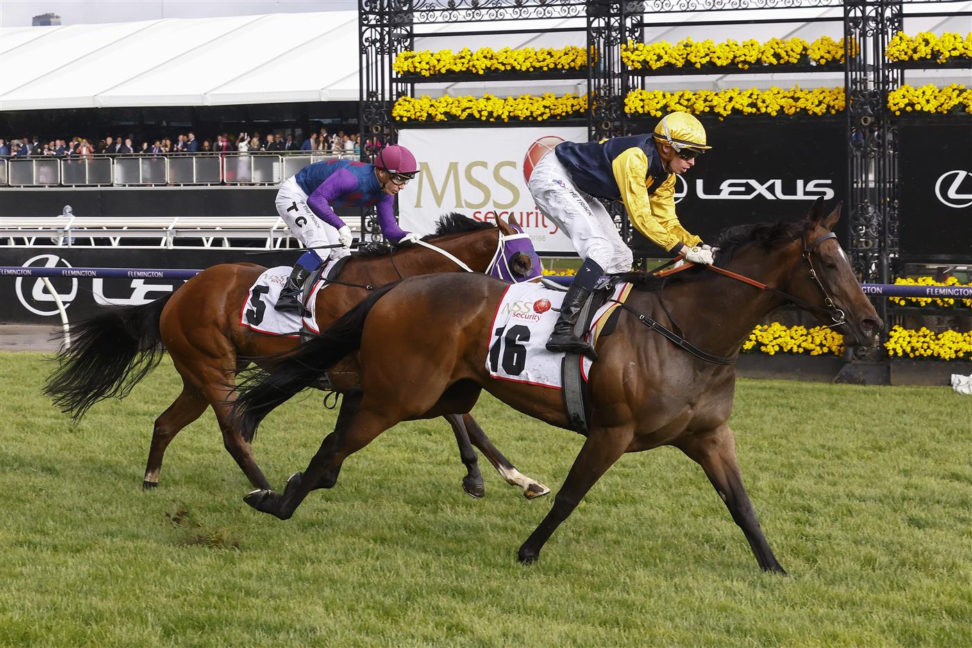 MELBOURNE, AUSTRALIA - NOVEMBER 01: Michael Dee rides Vespertine (R) to win race ten the MSS Security Sprint during 2022 Lexus Melbourne Cup Day at Flemington Racecourse on November 01, 2022 in Melbourne, Australia. (Photo by Daniel Pockett/Getty Images)