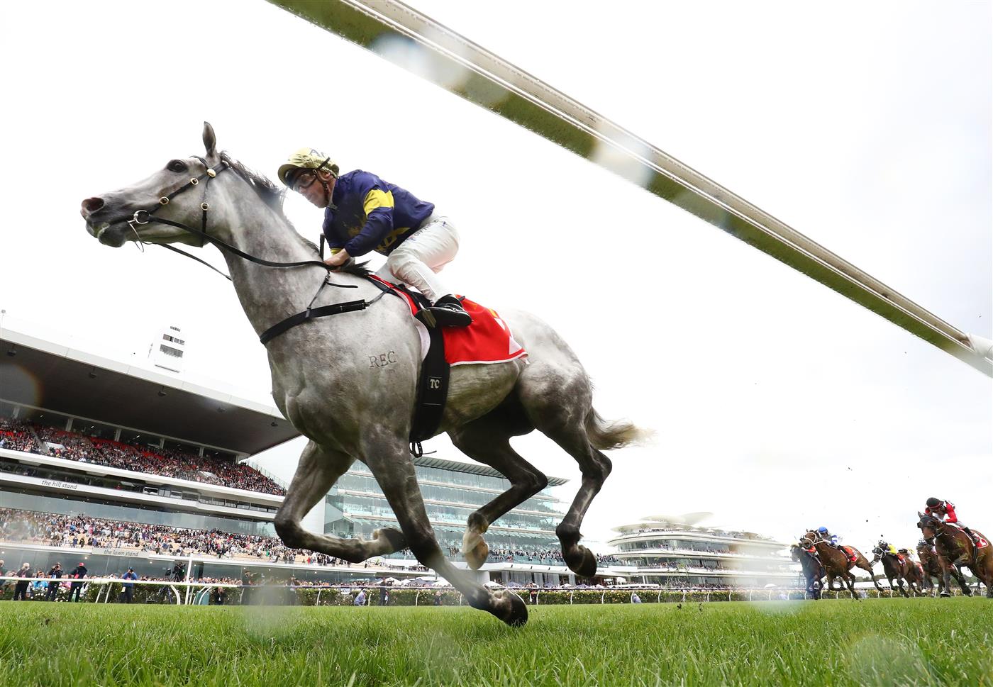 MELBOURNE, AUSTRALIA - NOVEMBER 01: Tim Clark rides White Marlin to win race 2  The Macca's Run during 2022 Lexus Melbourne Cup Day at Flemington Racecourse on November 01, 2022 in Melbourne, Australia. (Photo by Robert Cianflone/Getty Images)