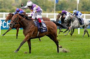 2022 Breeders' Cup News - Five European raiders to watch out for at Keeneland