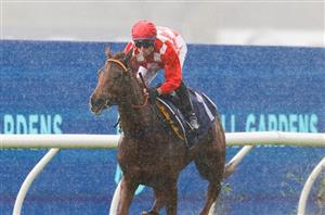 VRC Oaks Betting Odds - She's Extreme the outright fav