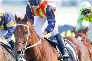 2022 Darley Champions Sprint Tips, Preview & Best Bets