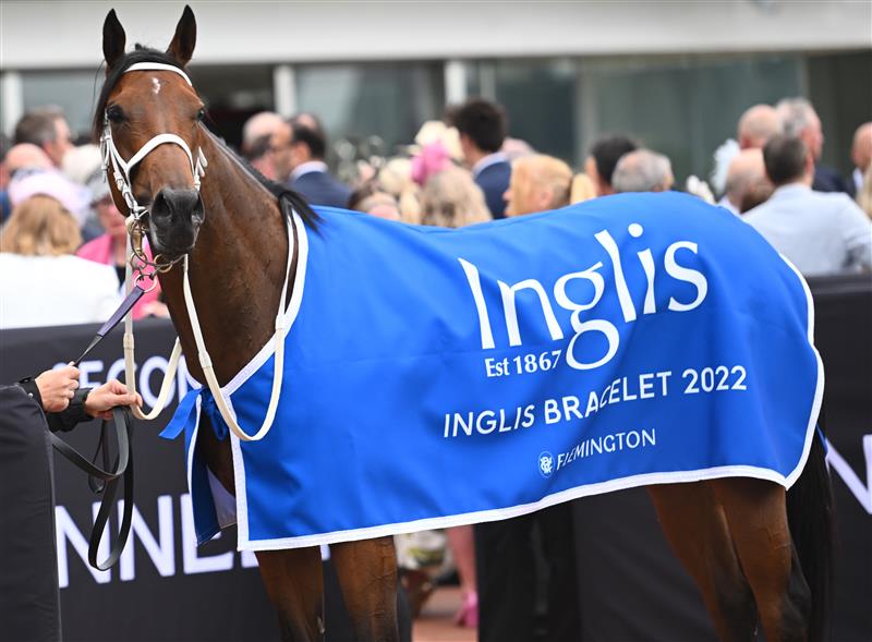 MELBOURNE, AUSTRALIA - NOVEMBER 03: Roots after winning Race 3, the Inglis Bracelet,  during 2022 Kennedy Oaks Day at Flemington Racecourse on November 03, 2022 in Melbourne, Australia. (Photo by Vince Caligiuri/Getty Images)
