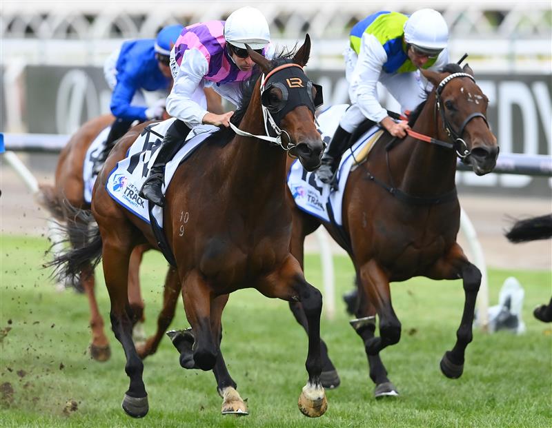 MELBOURNE, AUSTRALIA - NOVEMBER 03: Hugh Bowman rides #14 Razeta to win the Off The Track Desirable Stakes during 2022 Kennedy Oaks Day at Flemington Racecourse on November 03, 2022 in Melbourne, Australia. (Photo by Quinn Rooney/Getty Images)