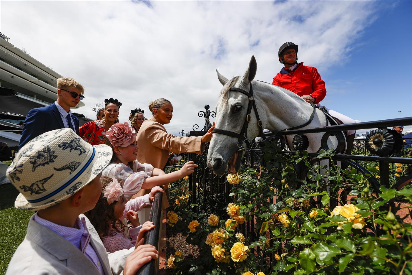 MELBOURNE, AUSTRALIA - NOVEMBER 03: Racegoers pat a horse during 2022 Oaks Day at Flemington Racecourse on November 03, 2022 in Melbourne, Australia. (Photo by Luke Hemer/Getty Images for VRC)