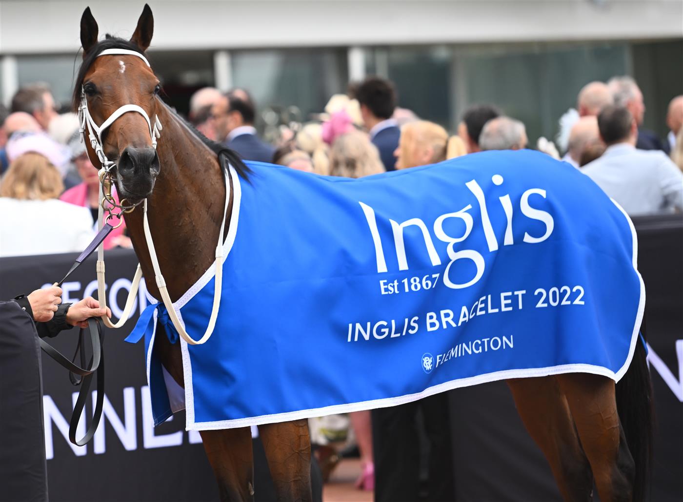 MELBOURNE, AUSTRALIA - NOVEMBER 03: Roots after winning Race 3, the Inglis Bracelet,  during 2022 Kennedy Oaks Day at Flemington Racecourse on November 03, 2022 in Melbourne, Australia. (Photo by Vince Caligiuri/Getty Images)