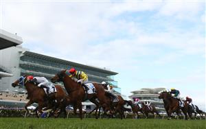 MELBOURNE, AUSTRALIA - NOVEMBER 03: Jake Toeroek rides #7 Aitch To Oh to win the 10 News First Red Roses Stakes during 2022 Kennedy Oaks Day at Flemington Racecourse on November 03, 2022 in Melbourne, Australia. (Photo by Robert Cianflone/Getty Images)
