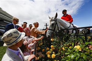 MELBOURNE, AUSTRALIA - NOVEMBER 03: Racegoers pat a horse during 2022 Oaks Day at Flemington Racecourse on November 03, 2022 in Melbourne, Australia. (Photo by Luke Hemer/Getty Images for VRC)