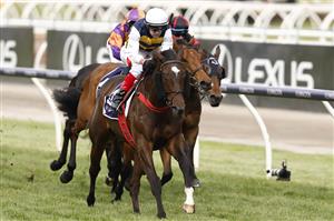 MELBOURNE, AUSTRALIA - NOVEMBER 03: Dean Yendall rides Toregene to win race 7 the Melbourne Cup Carnival Country Final during 2022 Kennedy Oaks Day at Flemington Racecourse on November 03, 2022 in Melbourne, Australia. (Photo by Darrian Traynor/Getty Images)