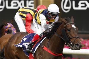 MELBOURNE, AUSTRALIA - NOVEMBER 03: Dean Yendall rides Toregene to win race 7 the Melbourne Cup Carnival Country Final during 2022 Kennedy Oaks Day at Flemington Racecourse on November 03, 2022 in Melbourne, Australia. (Photo by Darrian Traynor/Getty Images)