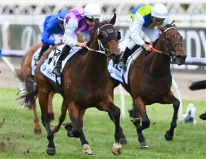 MELBOURNE, AUSTRALIA - NOVEMBER 03: Hugh Bowman rides #14 Razeta to win the Off The Track Desirable Stakes during 2022 Kennedy Oaks Day at Flemington Racecourse on November 03, 2022 in Melbourne, Australia. (Photo by Quinn Rooney/Getty Images)