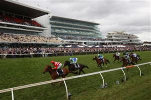 MELBOURNE, AUSTRALIA - NOVEMBER 03: Tommy Berry riding #1 She's Extreme to win Race 8, the Kennedy Oaks, during 2022 Kennedy Oaks Day at Flemington Racecourse on November 03, 2022 in Melbourne, Australia. (Getty)