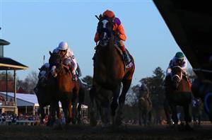2022 Breeders' Cup Classic Tips - Pinnacle Sport's guide to the main event at Keeneland