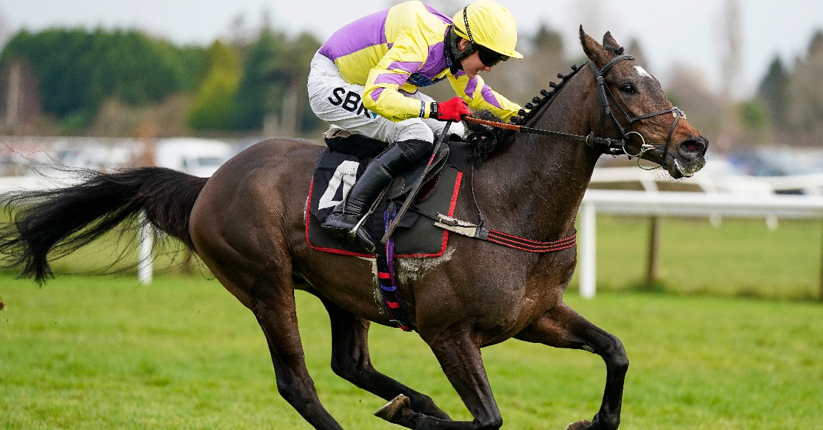 ITV Racing Tips November 4th | Free racing tips at Exeter and Down Royal