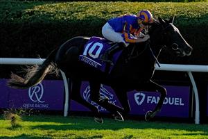 LEXINGTON, KENTUCKY - NOVEMBER 04: Jockey Ryan Moore rides Meditate to win the Breeders
