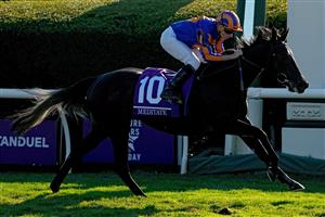 LEXINGTON, KENTUCKY - NOVEMBER 04: Jockey Ryan Moore rides Meditate to win the Breeders