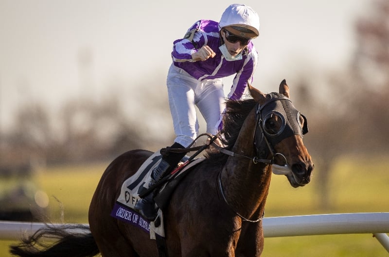 2022 Breeders' Cup Odds - Four market movers to back on Saturday