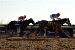 LEXINGTON, KENTUCKY - NOVEMBER 04: Jockey Irad Ortiz Jr. rides Forte to win the FanDuel Breeders