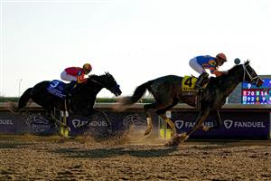 LEXINGTON, KENTUCKY - NOVEMBER 04: Jockey Irad Ortiz Jr. rides Forte to win the FanDuel Breeders