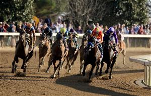 LEXINGTON, KENTUCKY - NOVEMBER 04: Irad Ortiz Jr a board Forte ( far left #4) runs to victory in the Breeders