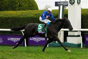 LEXINGTON, KENTUCKY - NOVEMBER 05: Jockey James Doyle rides Rebel