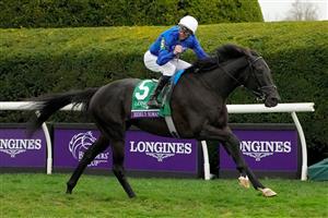 LEXINGTON, KENTUCKY - NOVEMBER 05: Jockey James Doyle rides Rebel