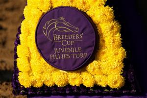 LEXINGTON, KENTUCKY - NOVEMBER 04: A detail view of the winner