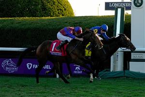 LEXINGTON, KENTUCKY - NOVEMBER 04: Jockey Ryan Moore rides Victoria Road to win the Breeder
