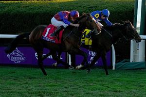 LEXINGTON, KENTUCKY - NOVEMBER 04: Jockey Ryan Moore rides Victoria Road to win the Breeder