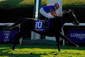 LEXINGTON, KENTUCKY - NOVEMBER 04: Jockey Ryan Moore rides Meditate to win the Breeders